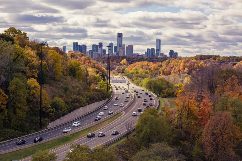 Road with trees on either side with a skyscrapers in the background - Cookiebot